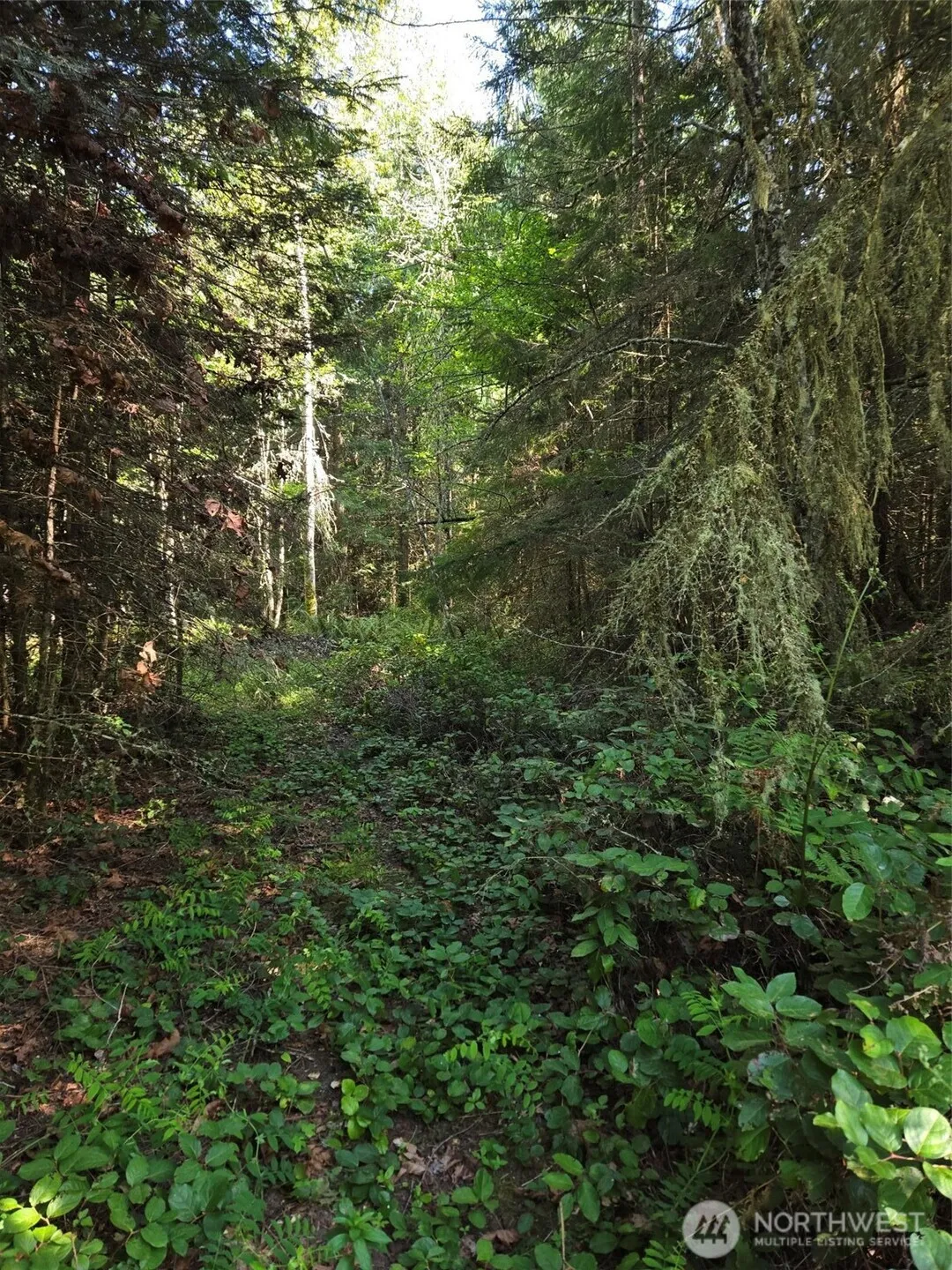 Property photo for 146 Humble Hill Road, Sequim photo 3