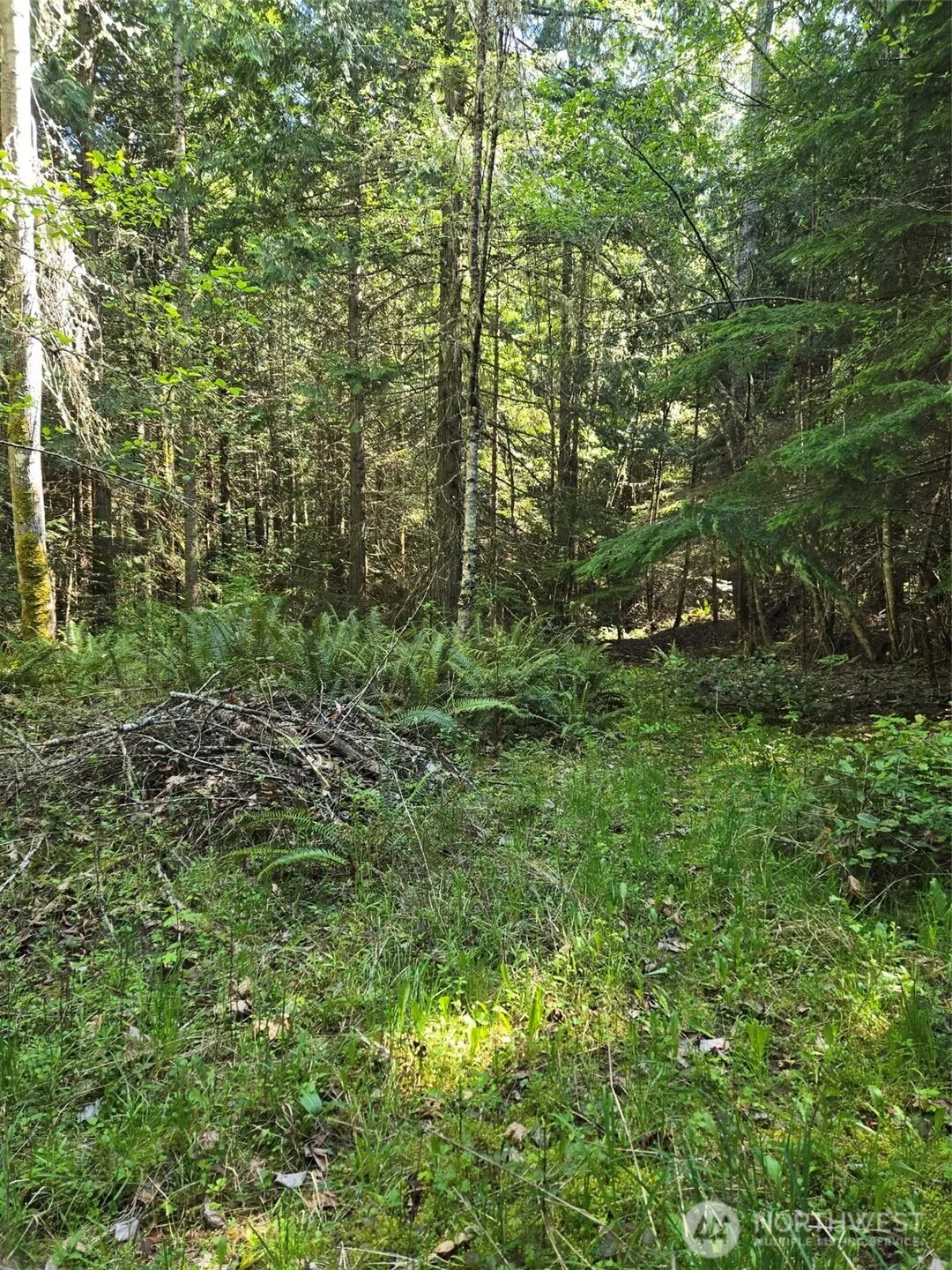 Property photo for 146 Humble Hill Road, Sequim photo 4