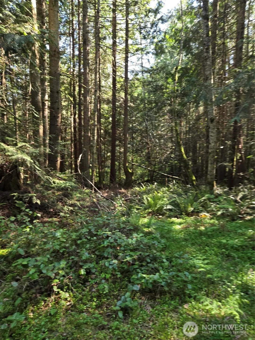 Property photo for 146 Humble Hill Road, Sequim photo 2