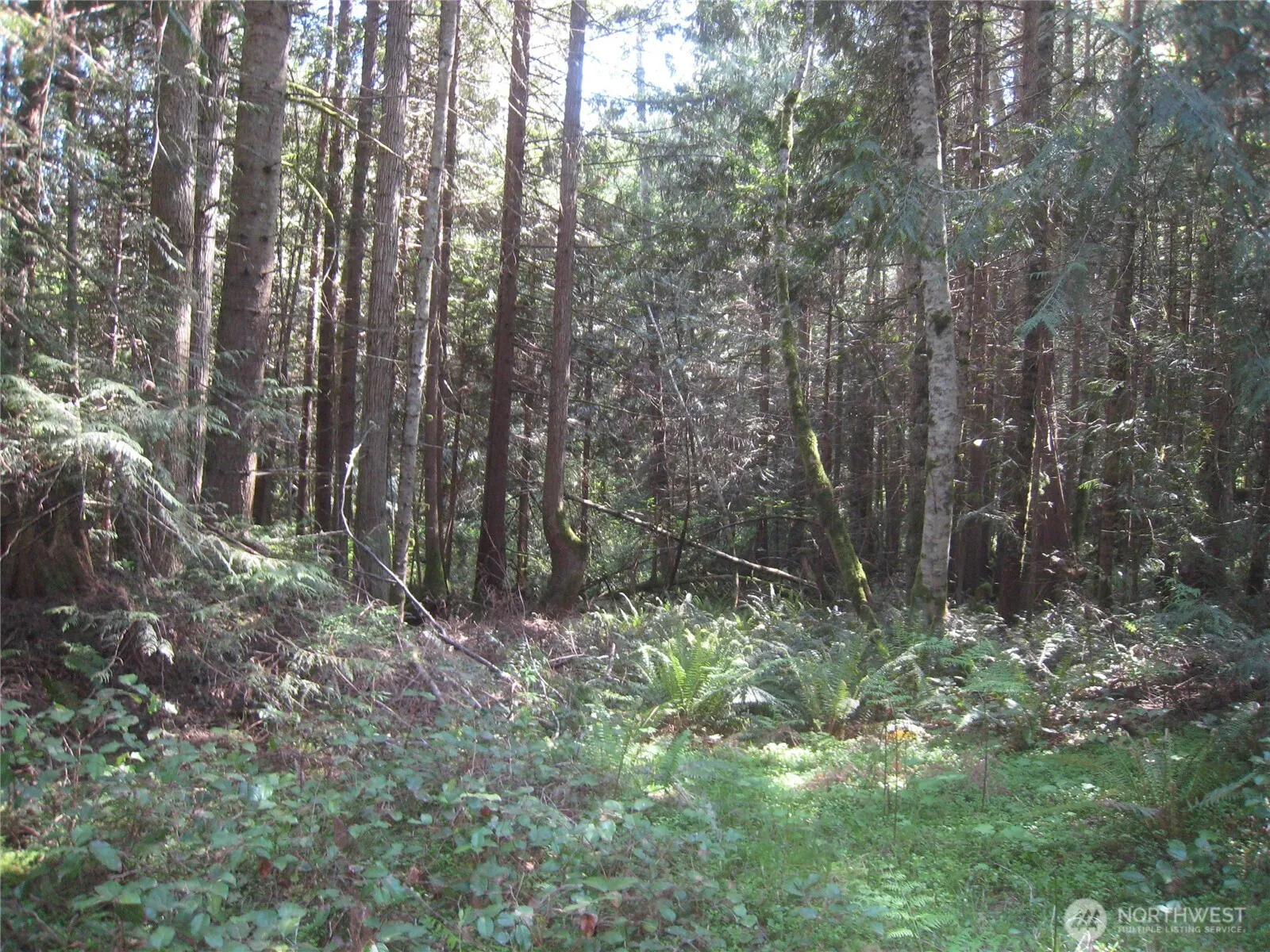 Property photo for 146 Humble Hill Road, Sequim photo 5