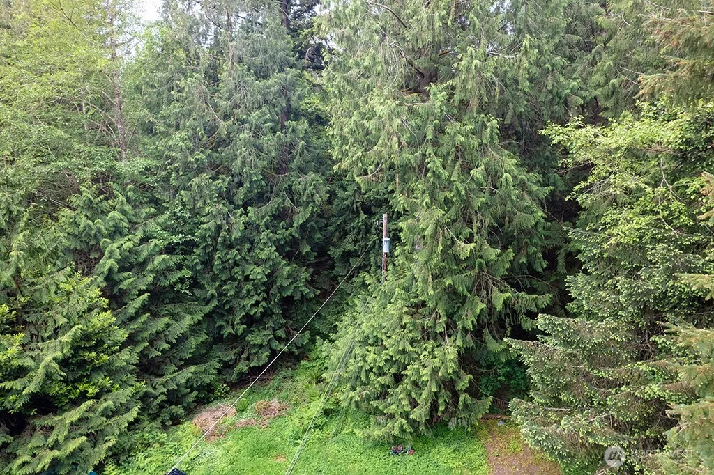 Property photo for 13806 Lone Maple Lane Nw, Poulsbo photo 5