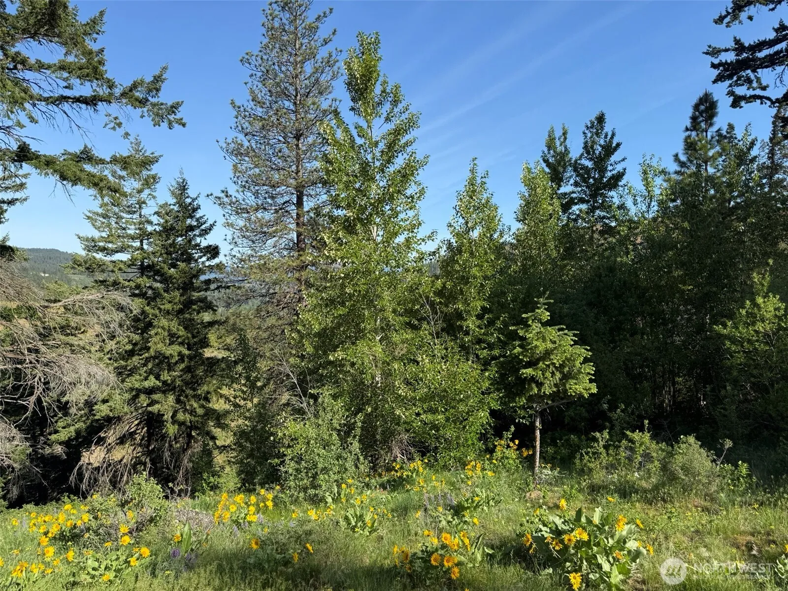 Property photo for 17 Xx Twin Lakes Road, Cle Elum