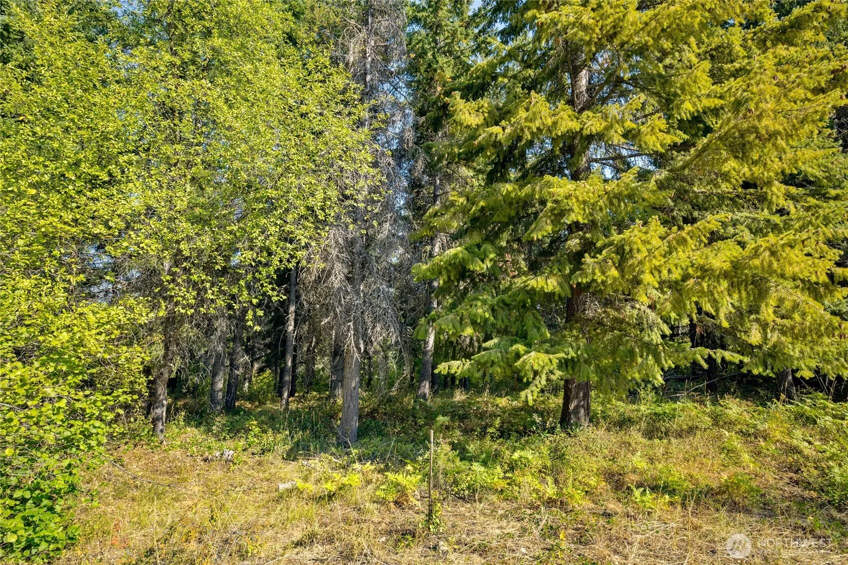 Property photo for 321 Goat Creek Lane, Cle Elum photo 3