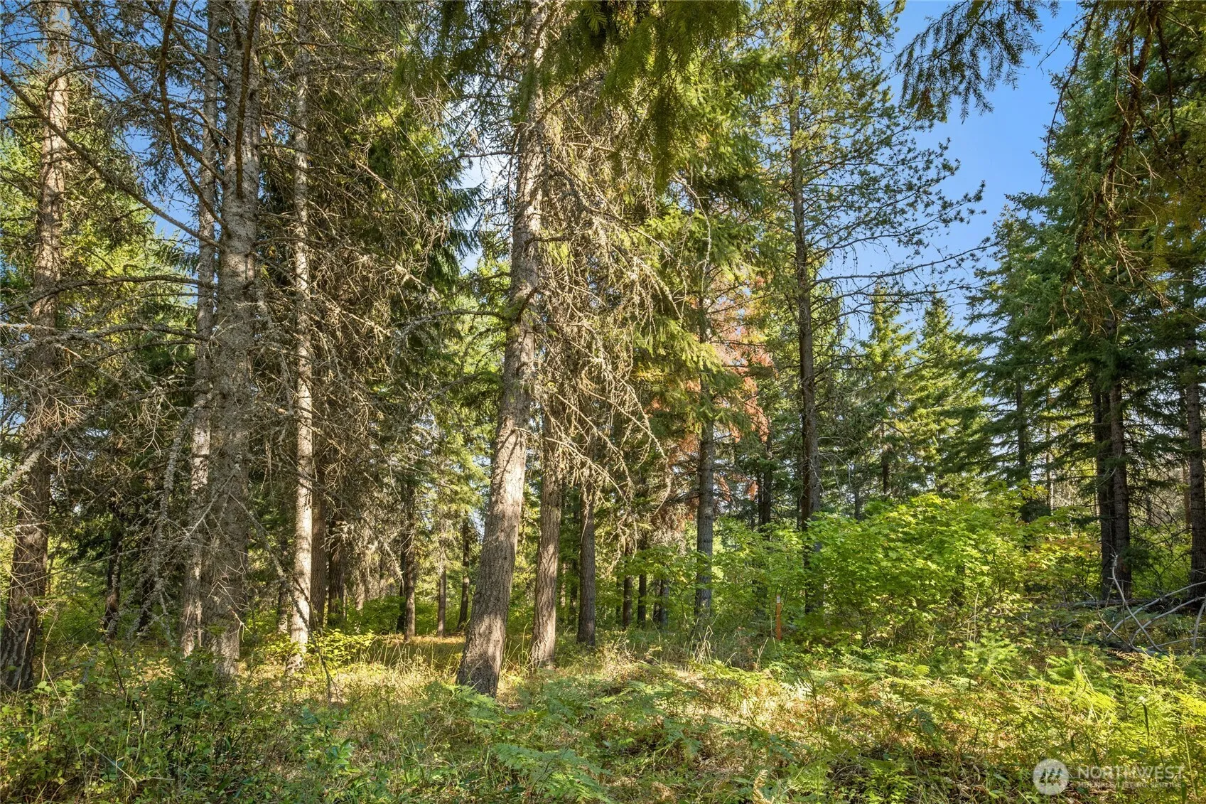 Property photo for 321 Goat Creek Lane, Cle Elum photo 4
