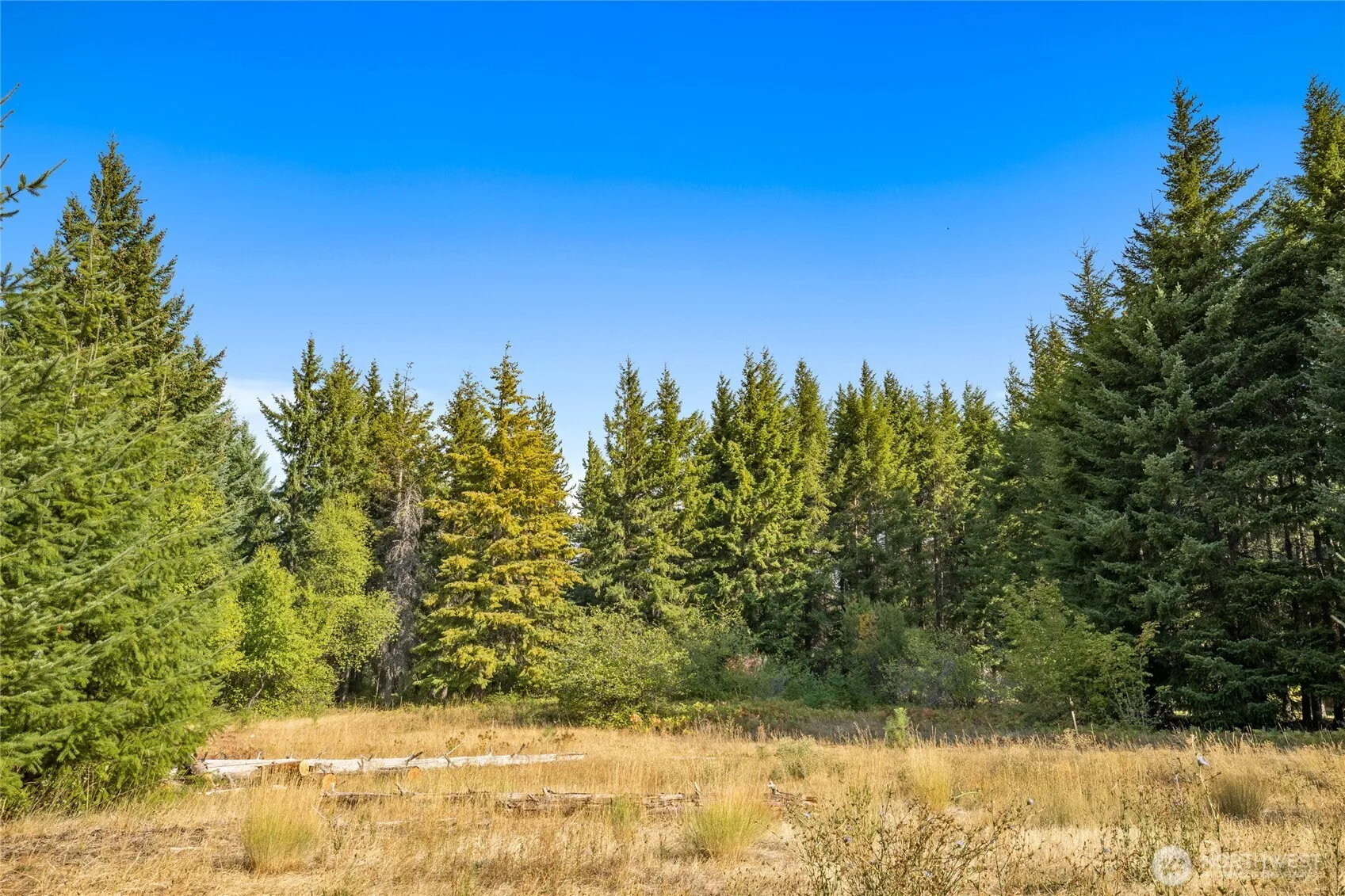 Property photo for 321 Goat Creek Lane, Cle Elum