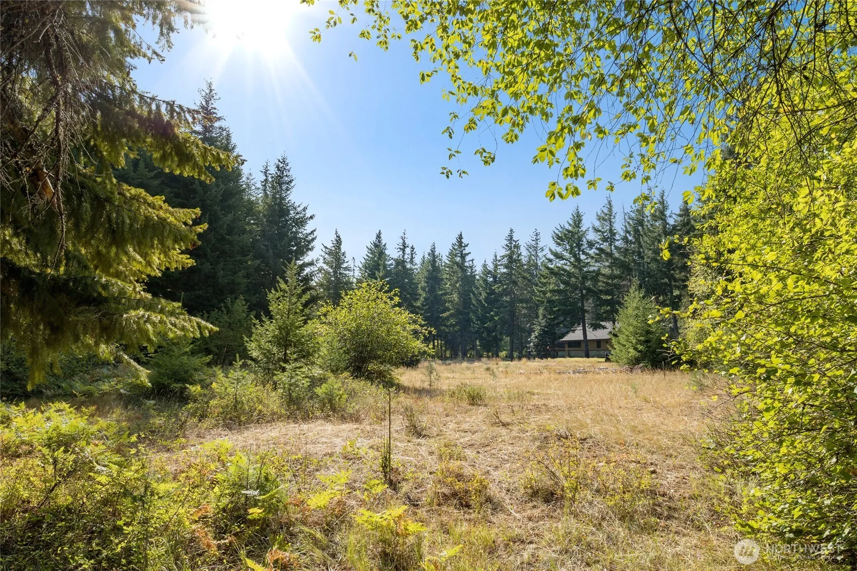 Property photo for 321 Goat Creek Lane, Cle Elum photo 5
