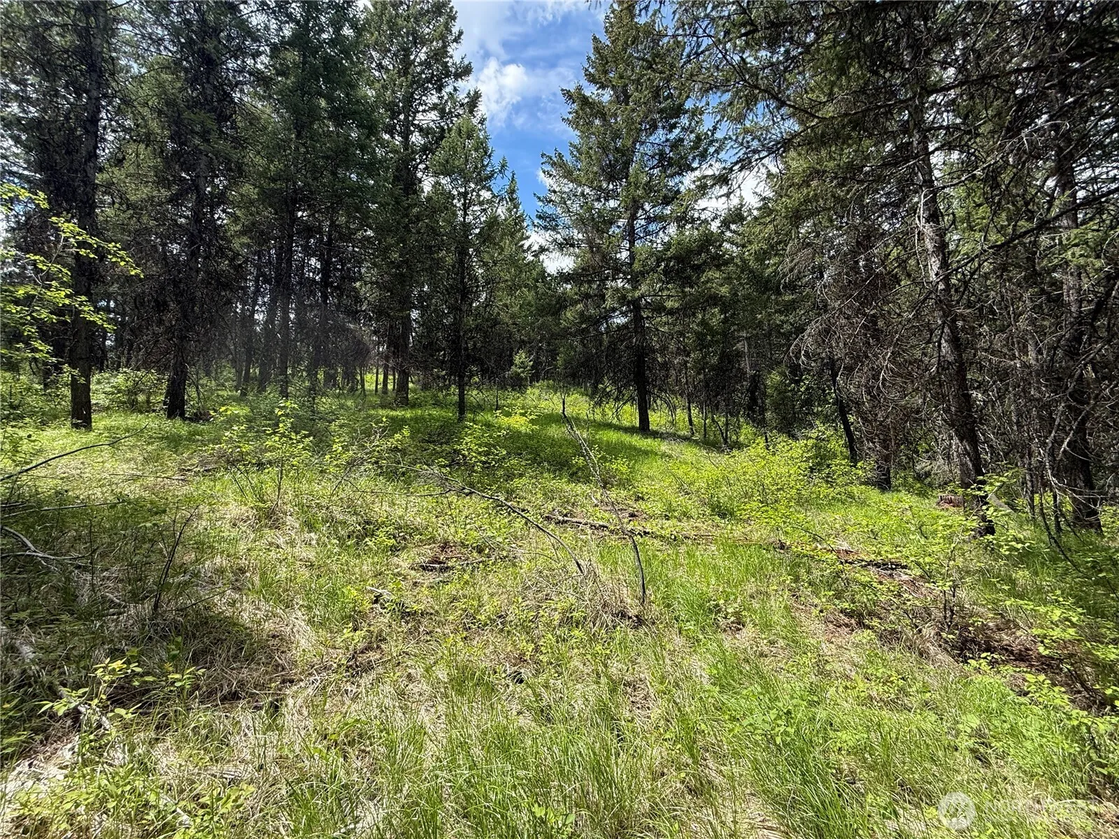 Property photo for 0 Knob Hill Road E, Republic