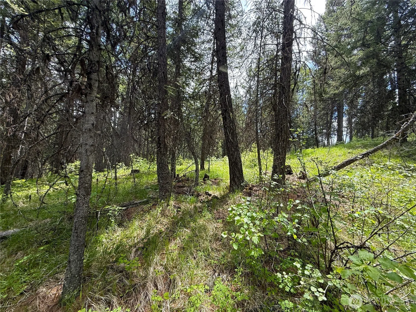 Property photo for 0 Knob Hill Road E, Republic photo 2