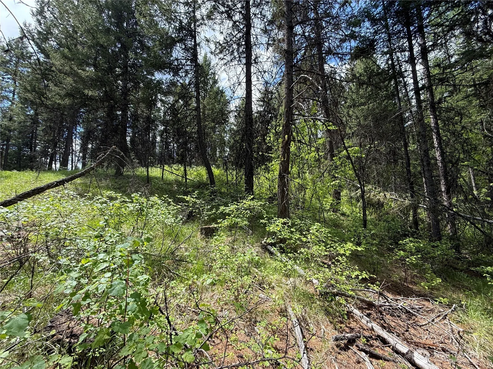 Property photo for 0 Knob Hill Road E, Republic photo 3