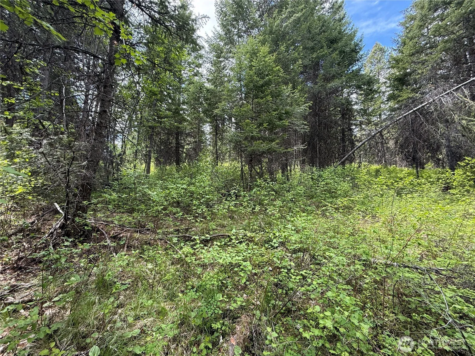 Property photo for 0 Knob Hill Road E, Republic photo 5