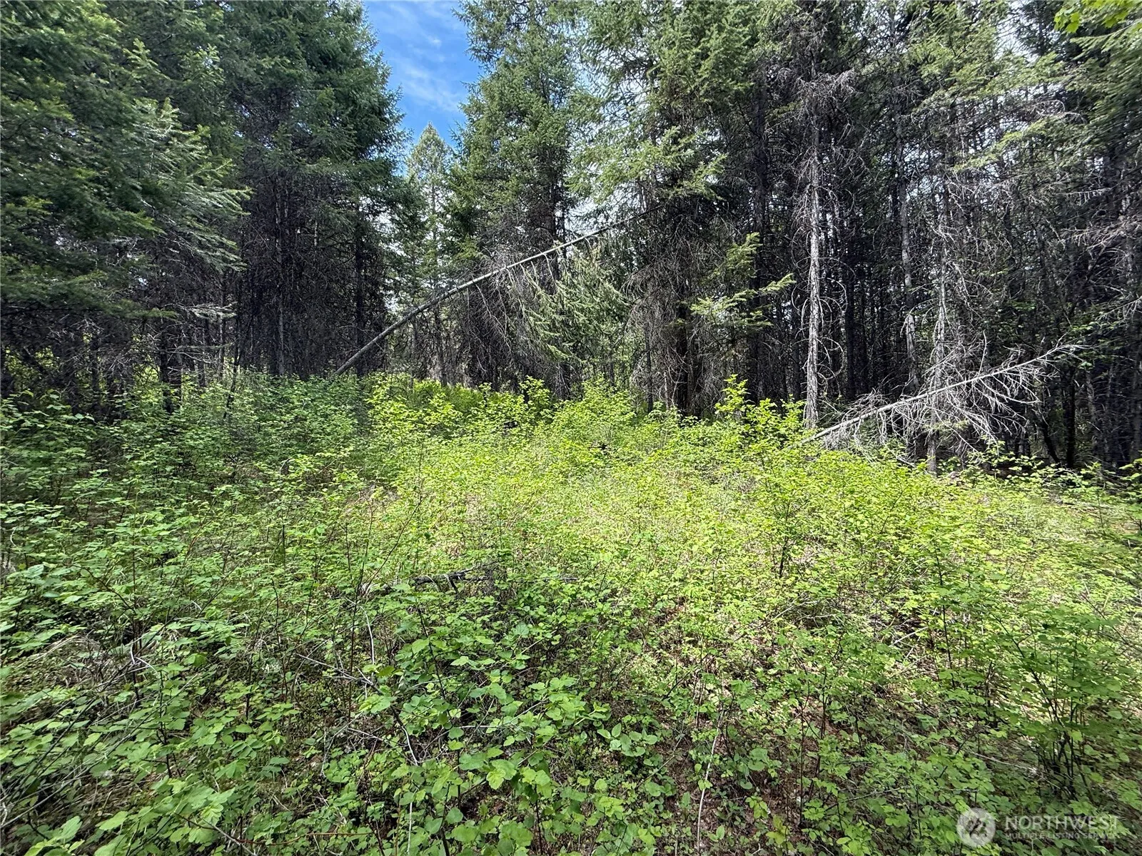 Property photo for 0 Knob Hill Road E, Republic photo 4
