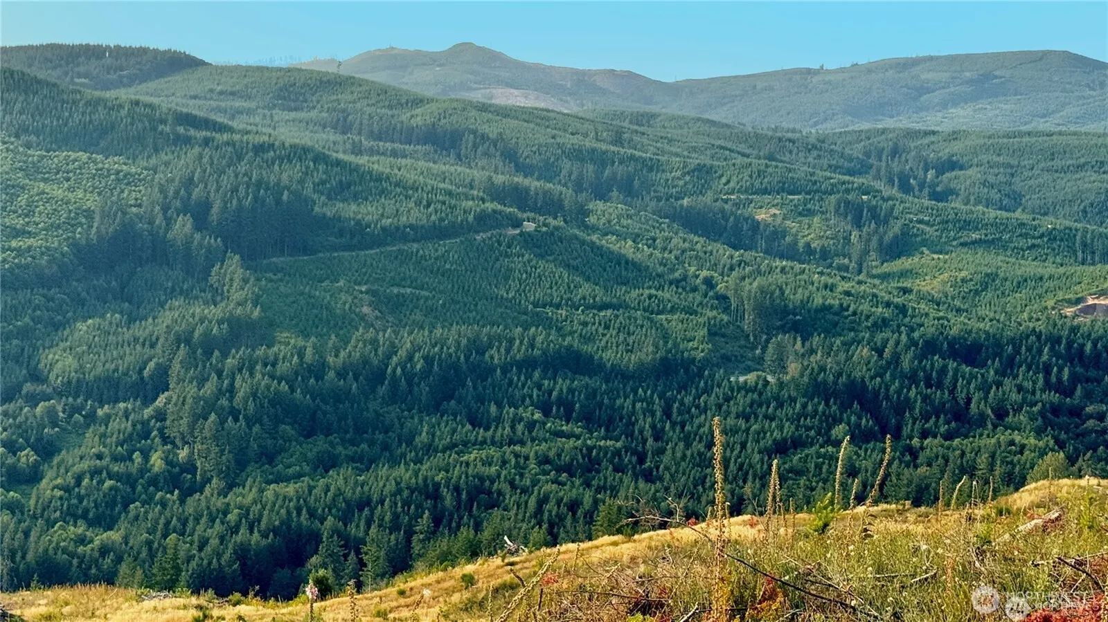 Property photo for 3727 Little Kalama River Road #h, Woodland