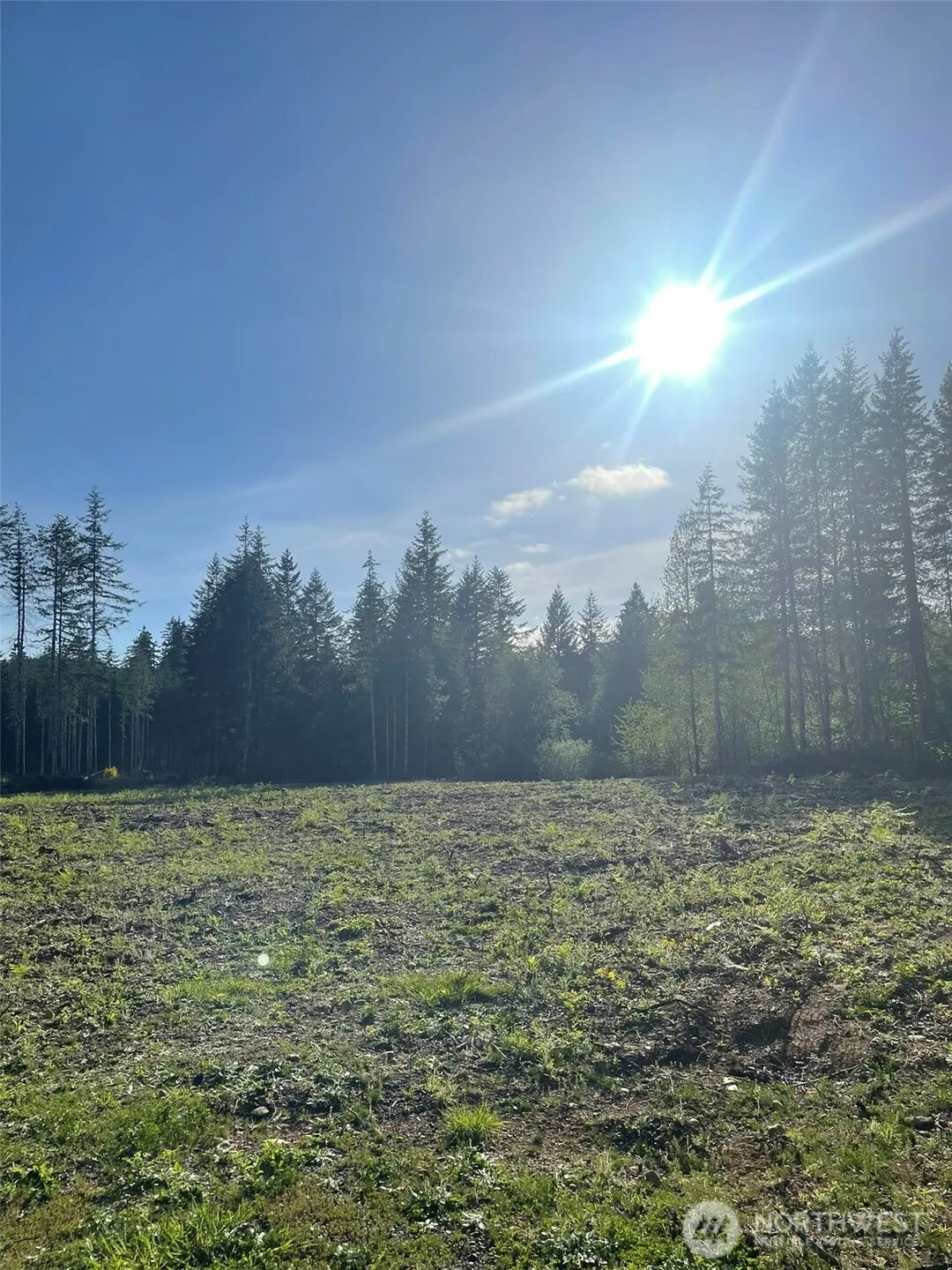 Property photo for 14253 W Cloquallum Road, Elma