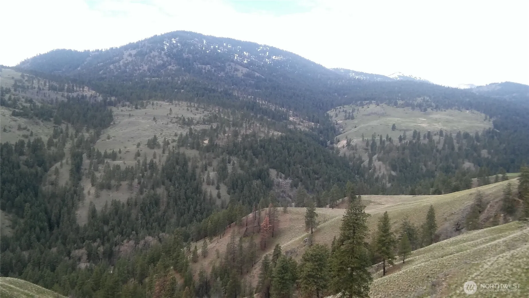 Property photo for 0 Tbd N Fork Salmon Creek Road, Conconully