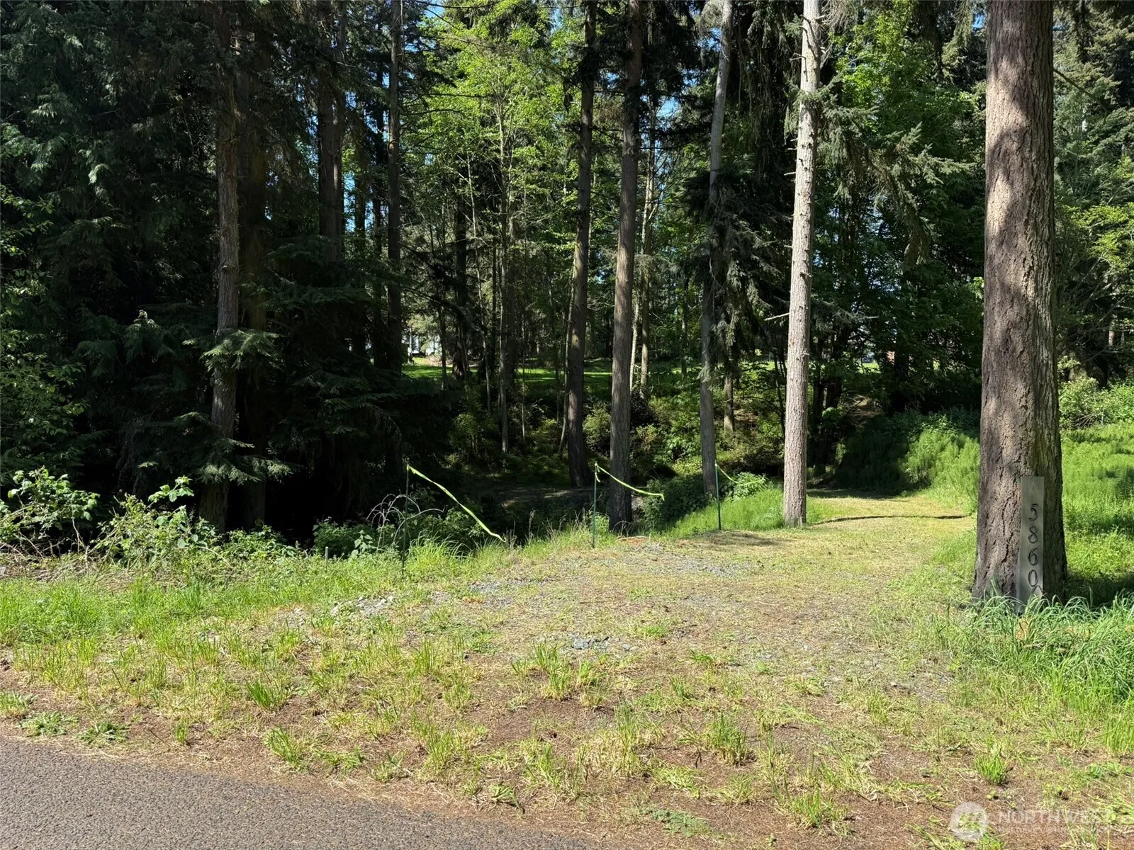 Property photo for 5860 Fish Road, Freeland