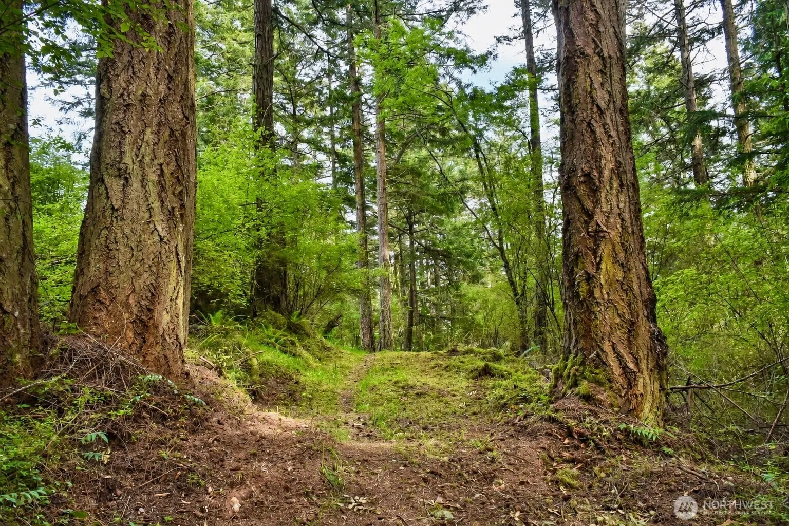 Property photo for 0 Xxx Garden Lane, Orcas Island photo 3