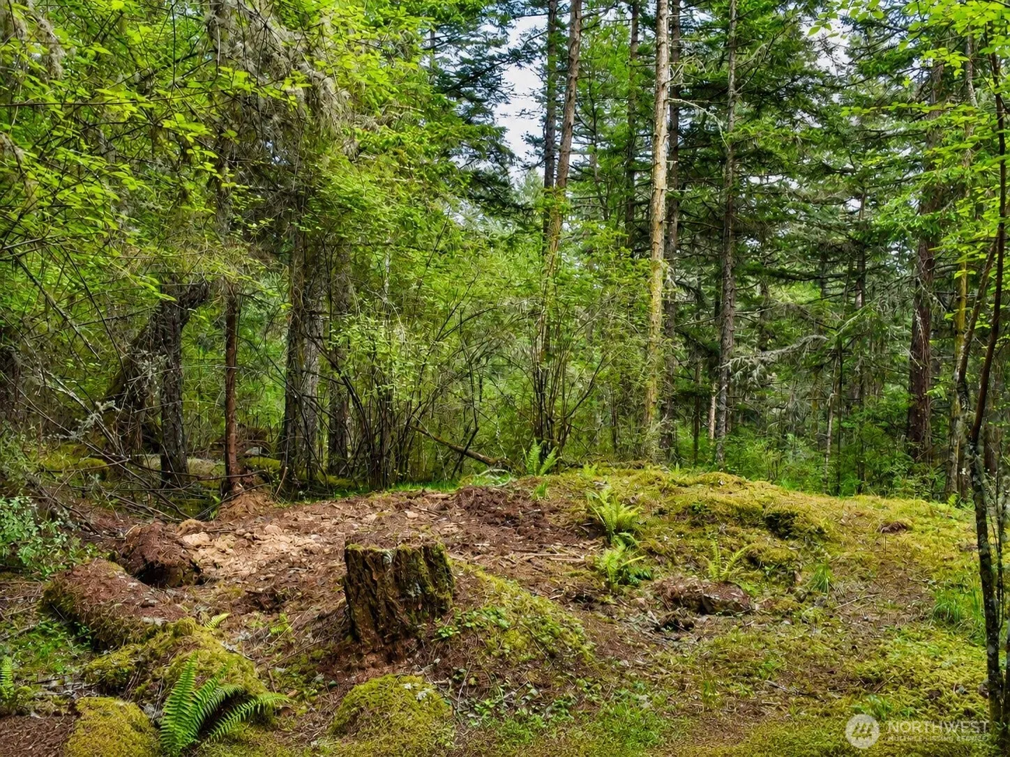 Property photo for 0 Xxx Garden Lane, Orcas Island photo 4