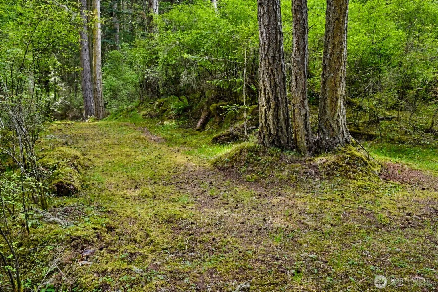 Property photo for 0 Xxx Garden Lane, Orcas Island photo 5