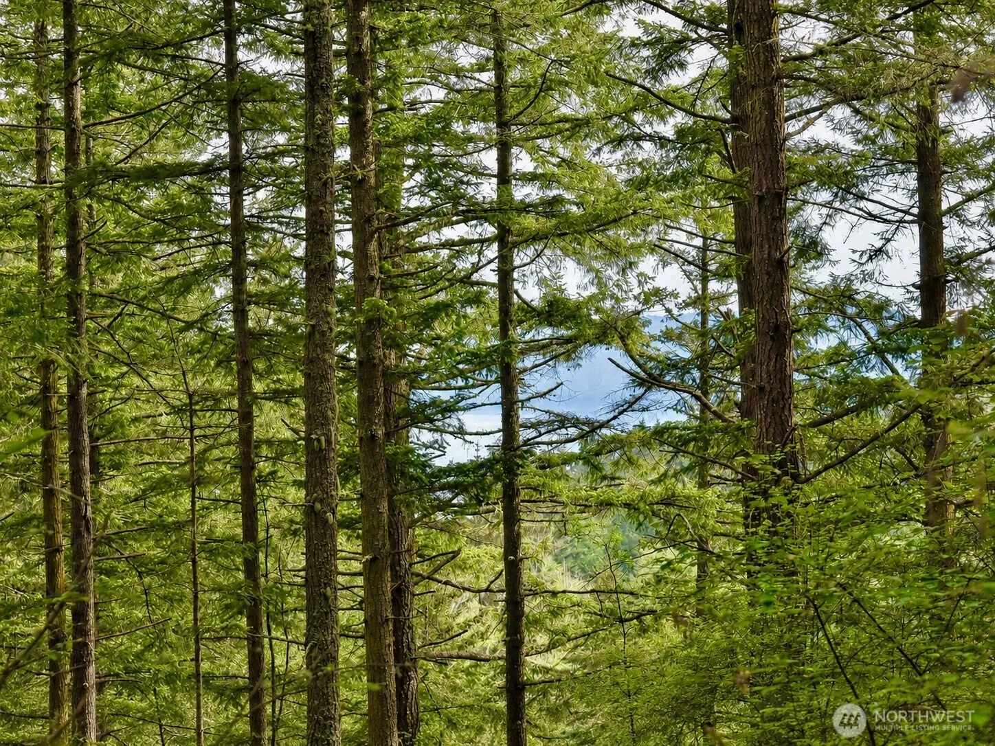 Property photo for 0 Xxx Garden Lane, Orcas Island photo 2