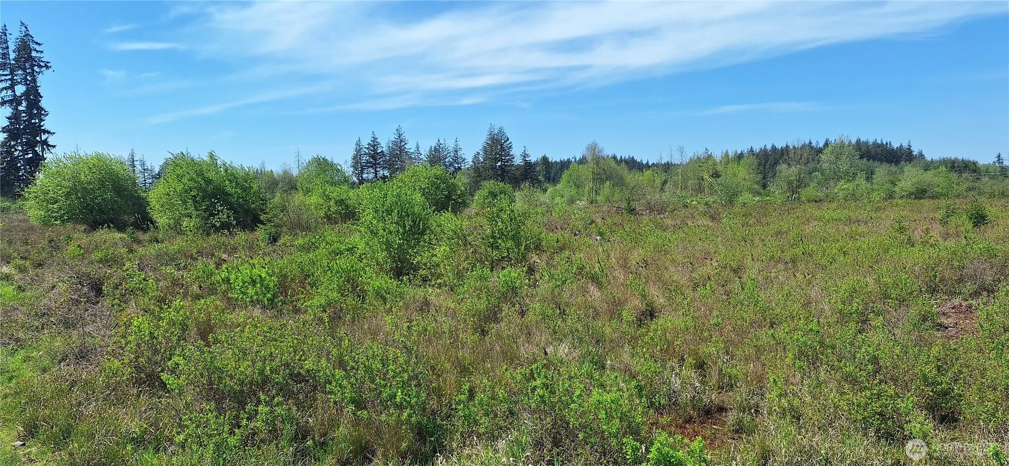 Property photo for 0 Meier Road, Winlock