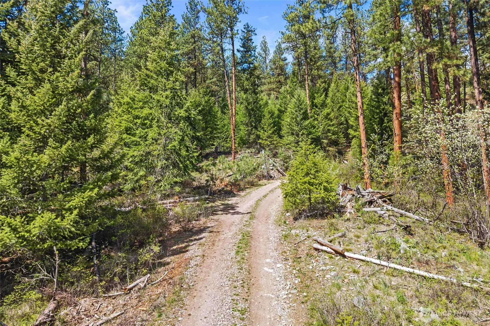 Property photo for 45 Xxxx Klondike, Republic photo 4