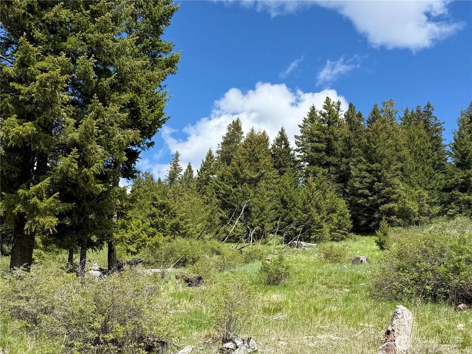 Property photo for 0 Toroda Creek Road, Wauconda