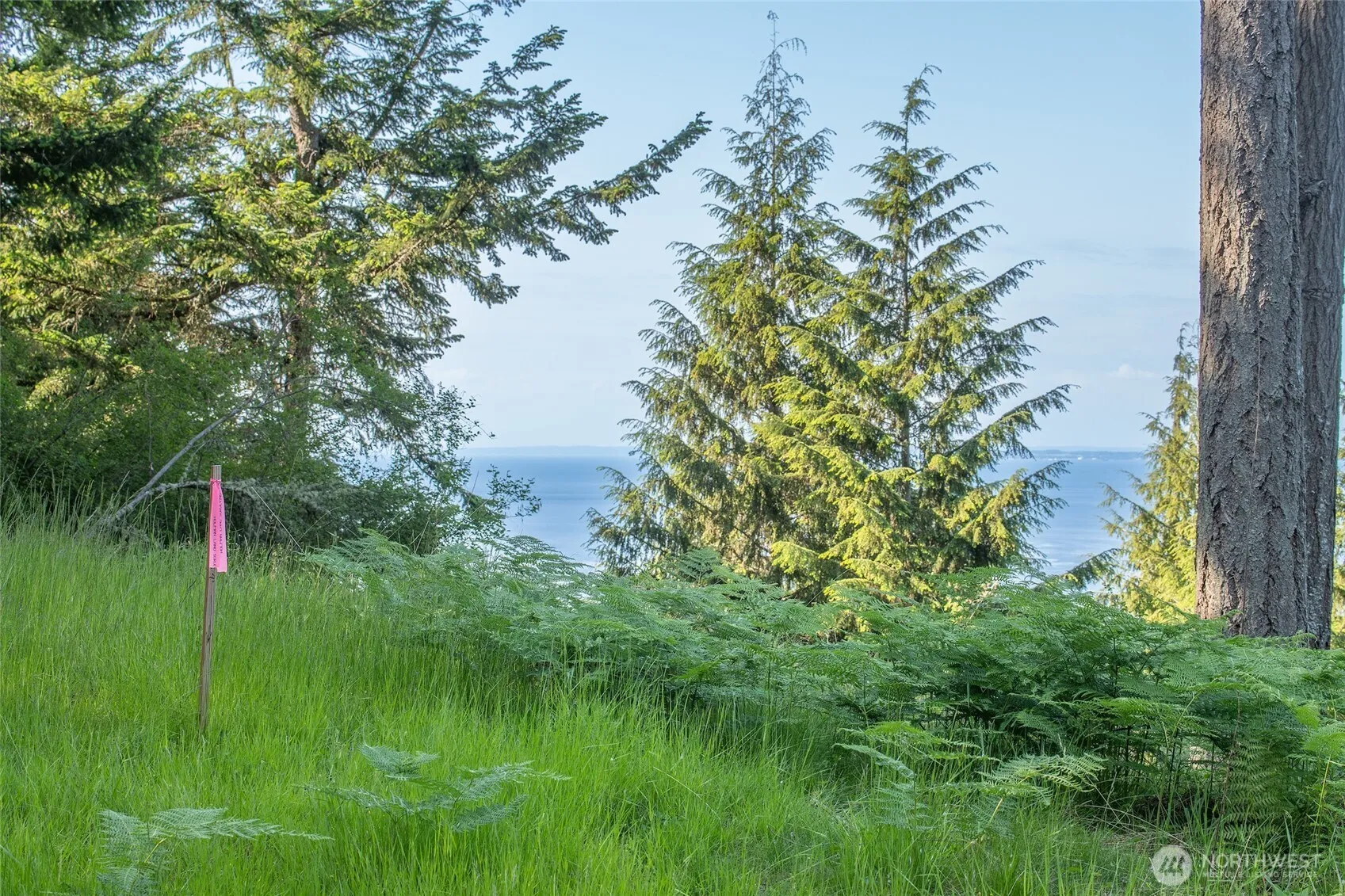 Property photo for 41 Raven Lane, Orcas Island photo 4