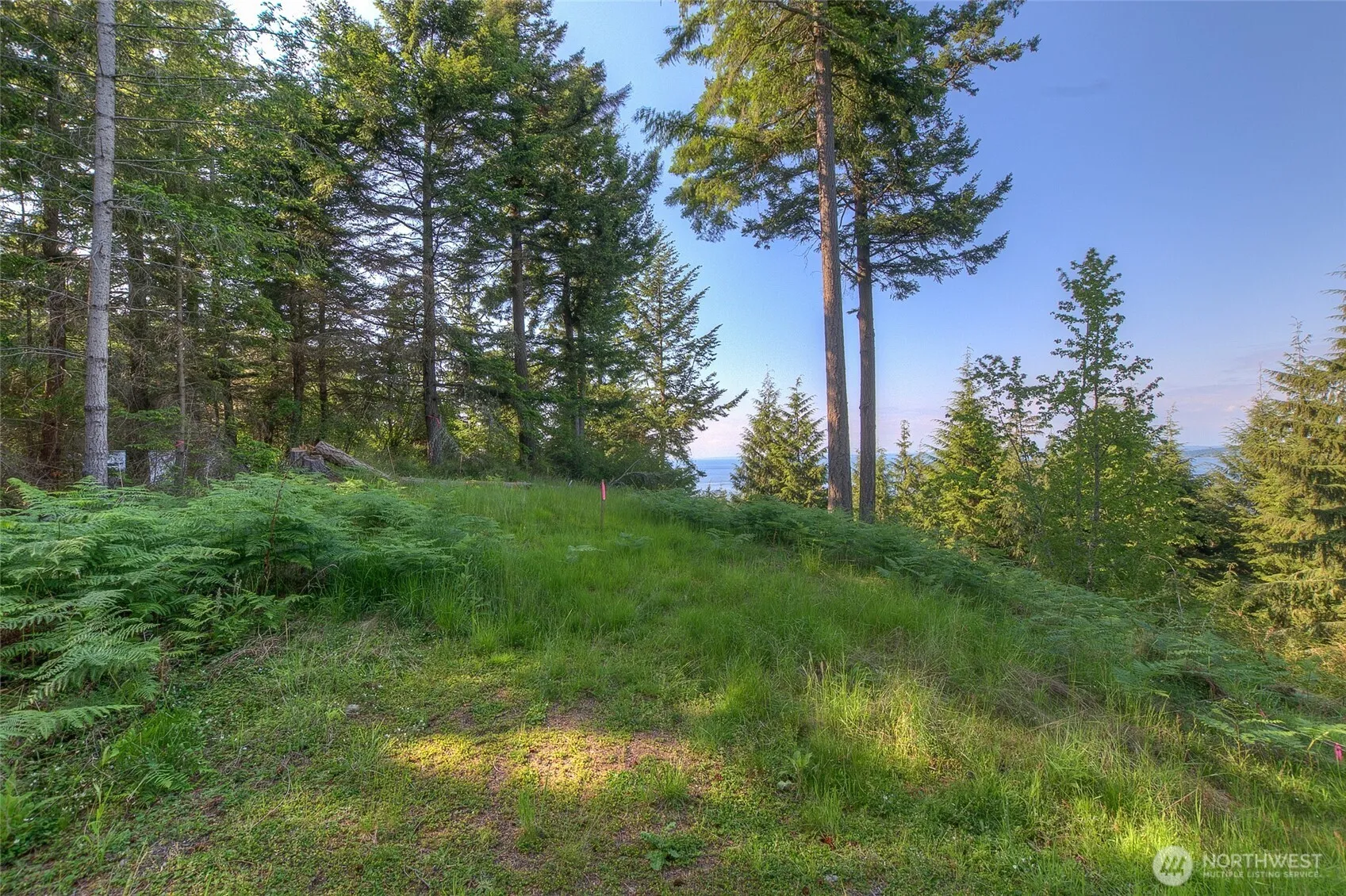 Property photo for 41 Raven Lane, Orcas Island photo 2