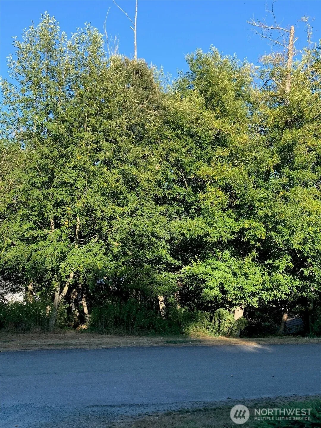 Property photo for 0 Xxx Brittany, Freeland