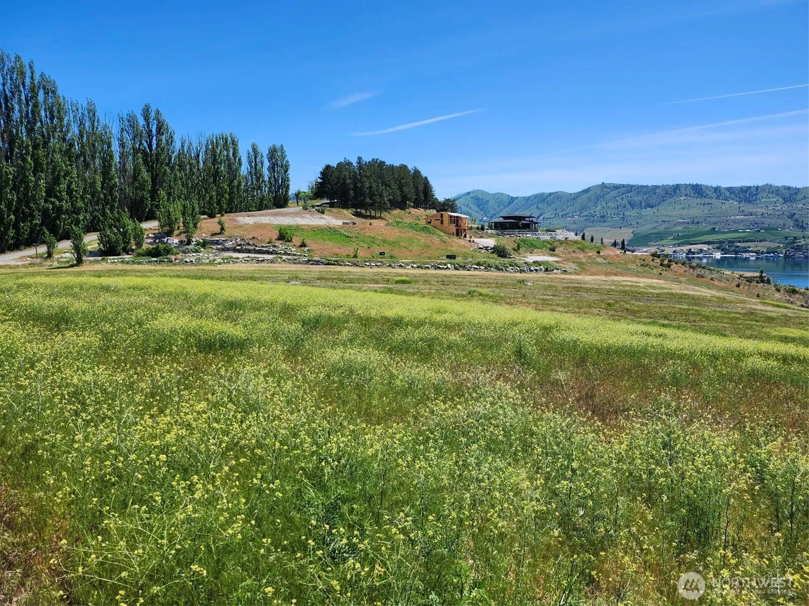 Property photo for 155 Maikai Road, Manson photo 4