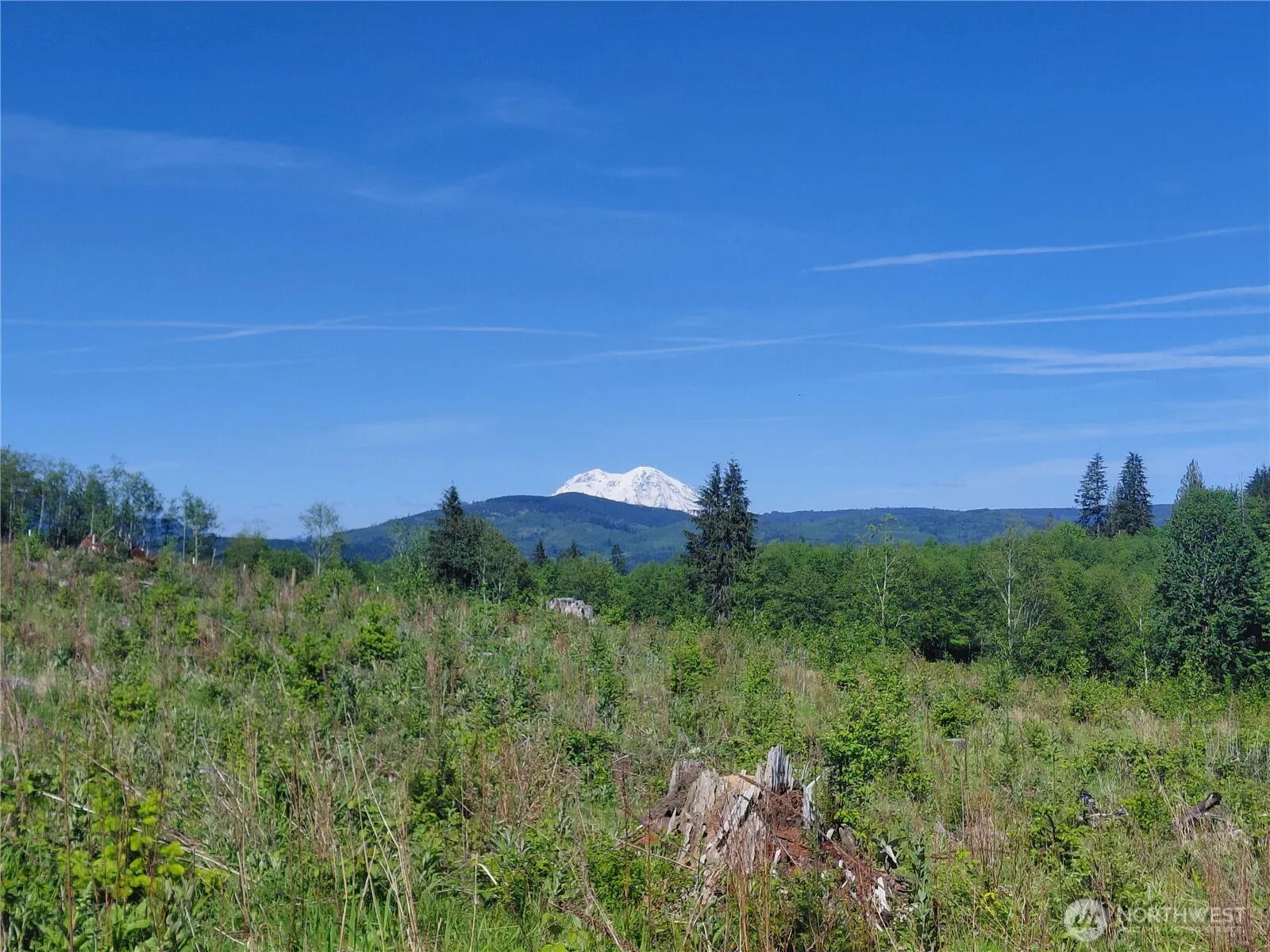 Property photo for 195 -82 Hagen Road, Mossyrock