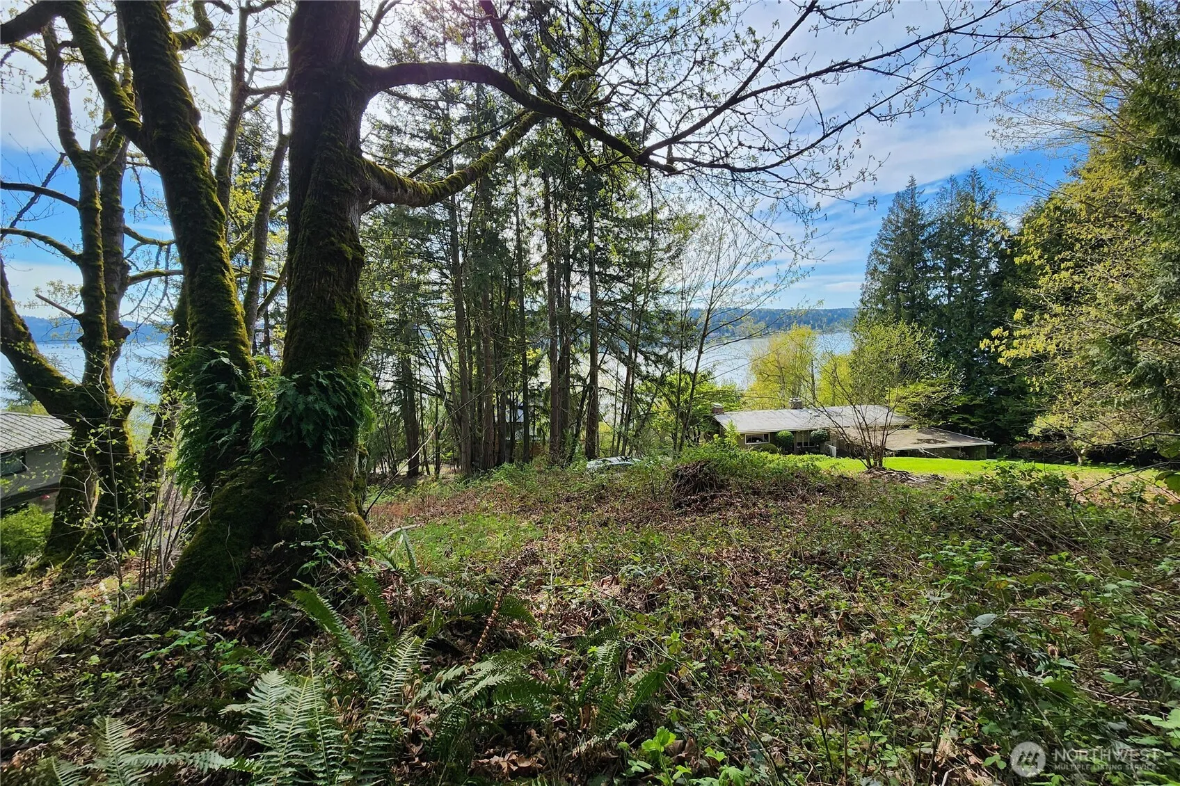Property photo for 0 E Lake Sammamish Parkway Ne, Sammamish photo 3