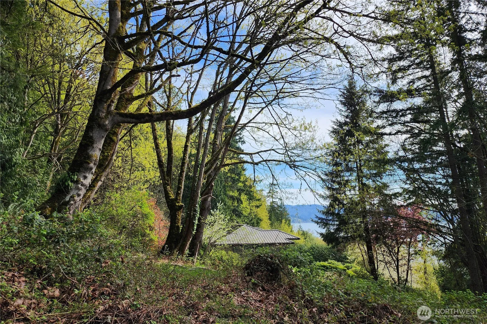 Property photo for 0 E Lake Sammamish Parkway Ne, Sammamish photo 4