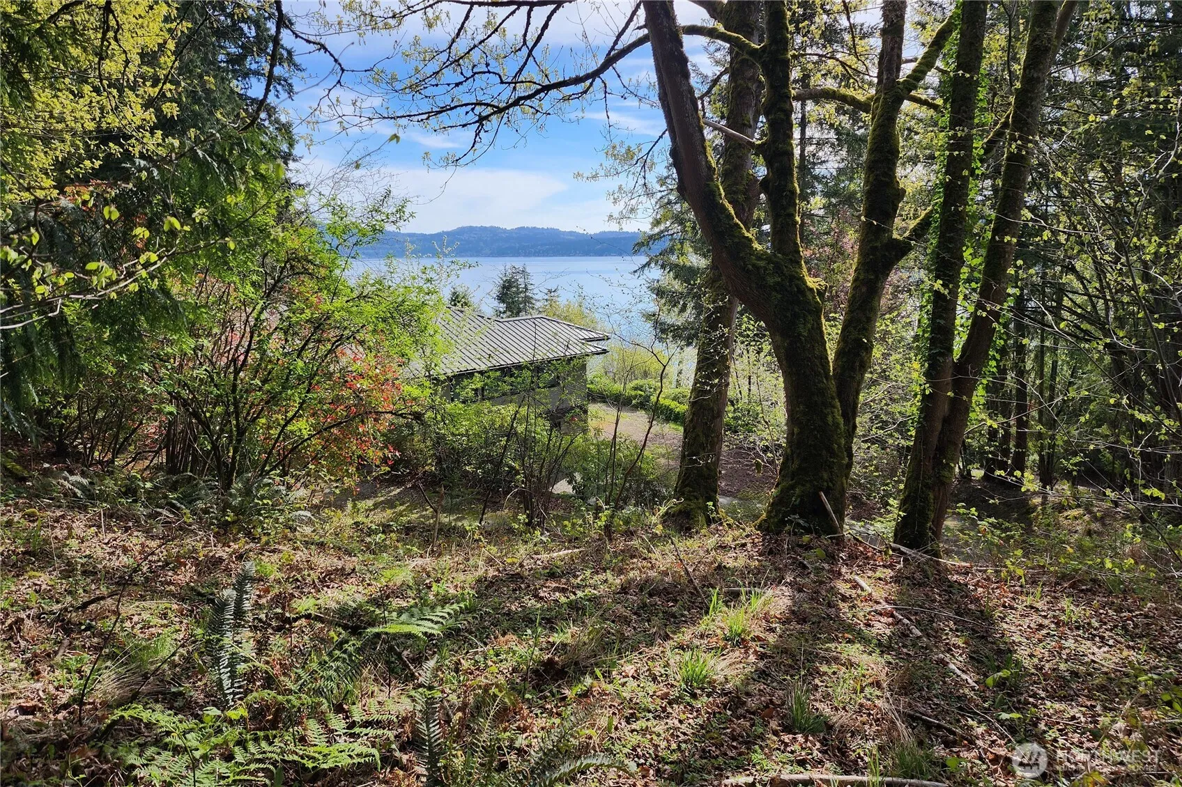 Property photo for 0 E Lake Sammamish Parkway Ne, Sammamish photo 5