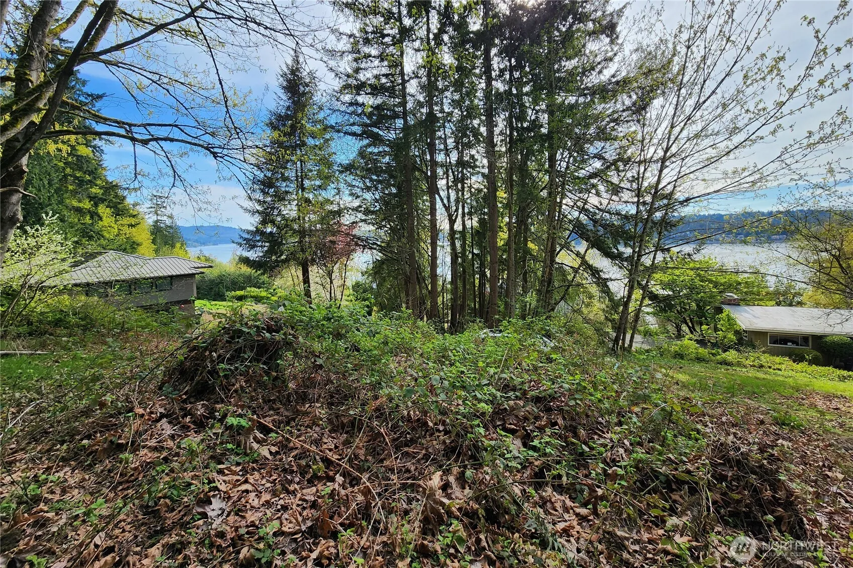 Property photo for 0 E Lake Sammamish Parkway Ne, Sammamish photo 2