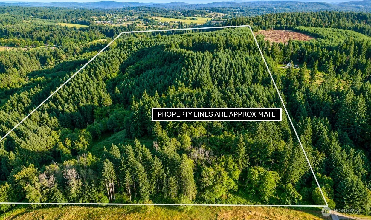 Property photo for 0 Ne Finalburg Road, La Center