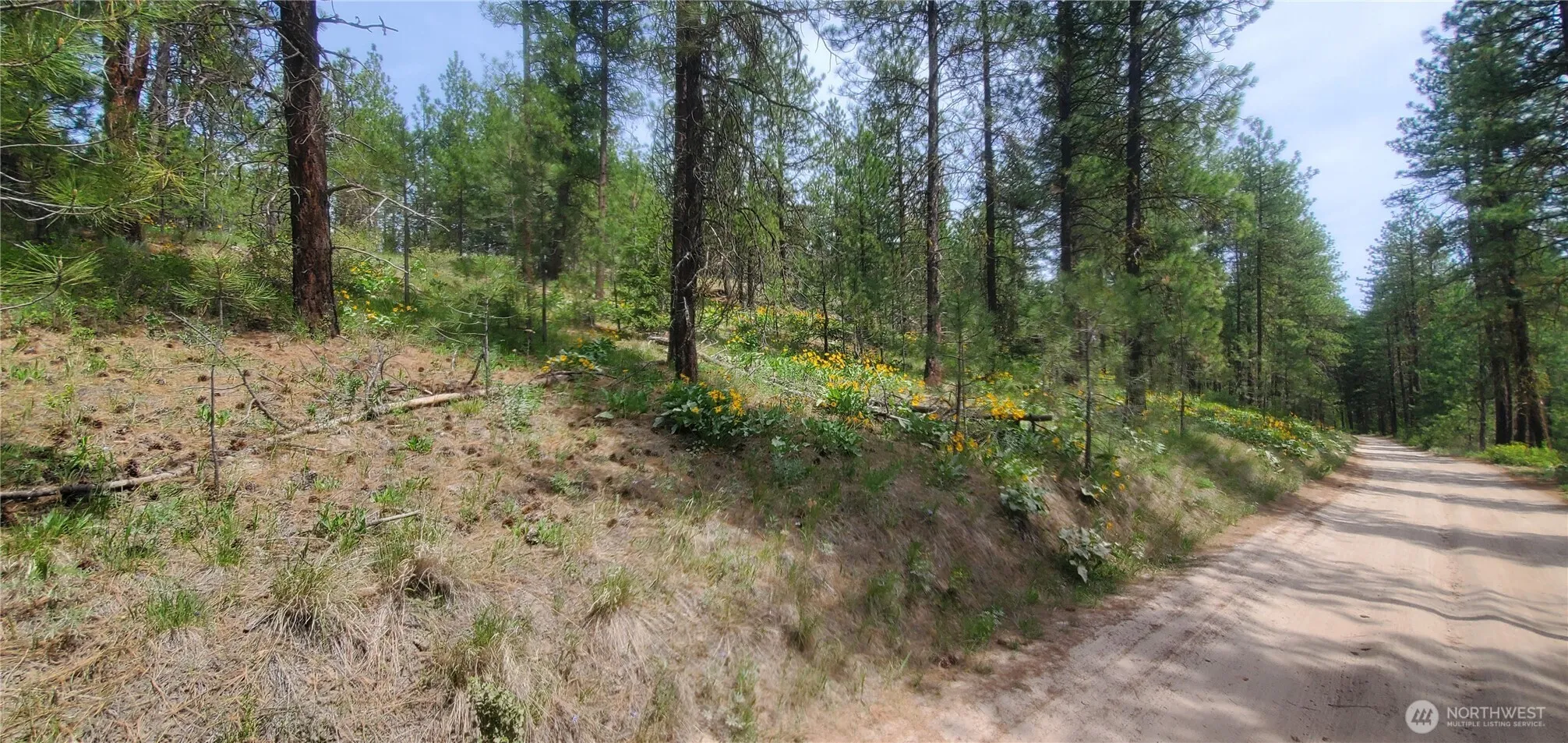 Property photo for 6 Lot Okanogan River Ranches Div 1, Tonasket photo 3