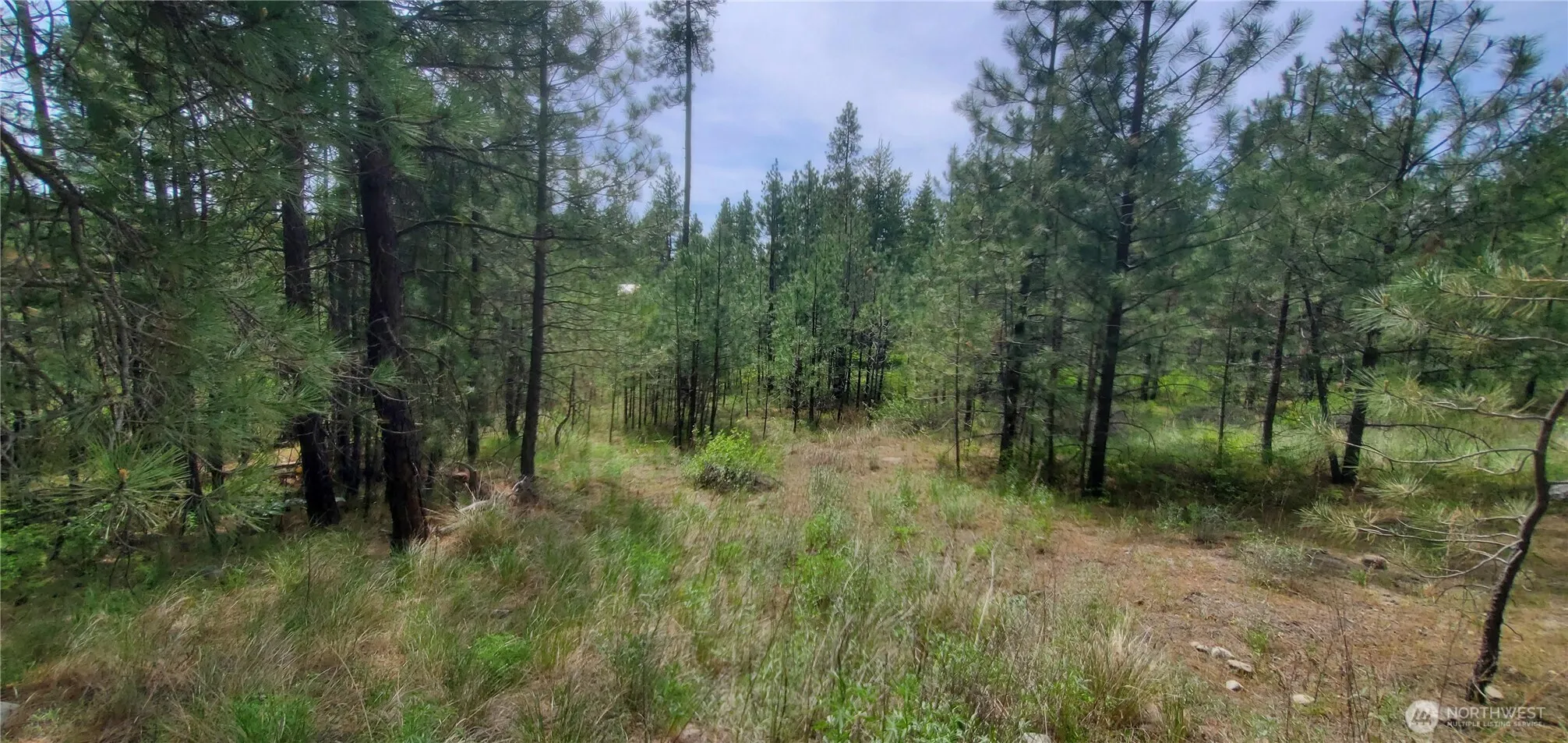 Property photo for 6 Lot Okanogan River Ranches Div 1, Tonasket