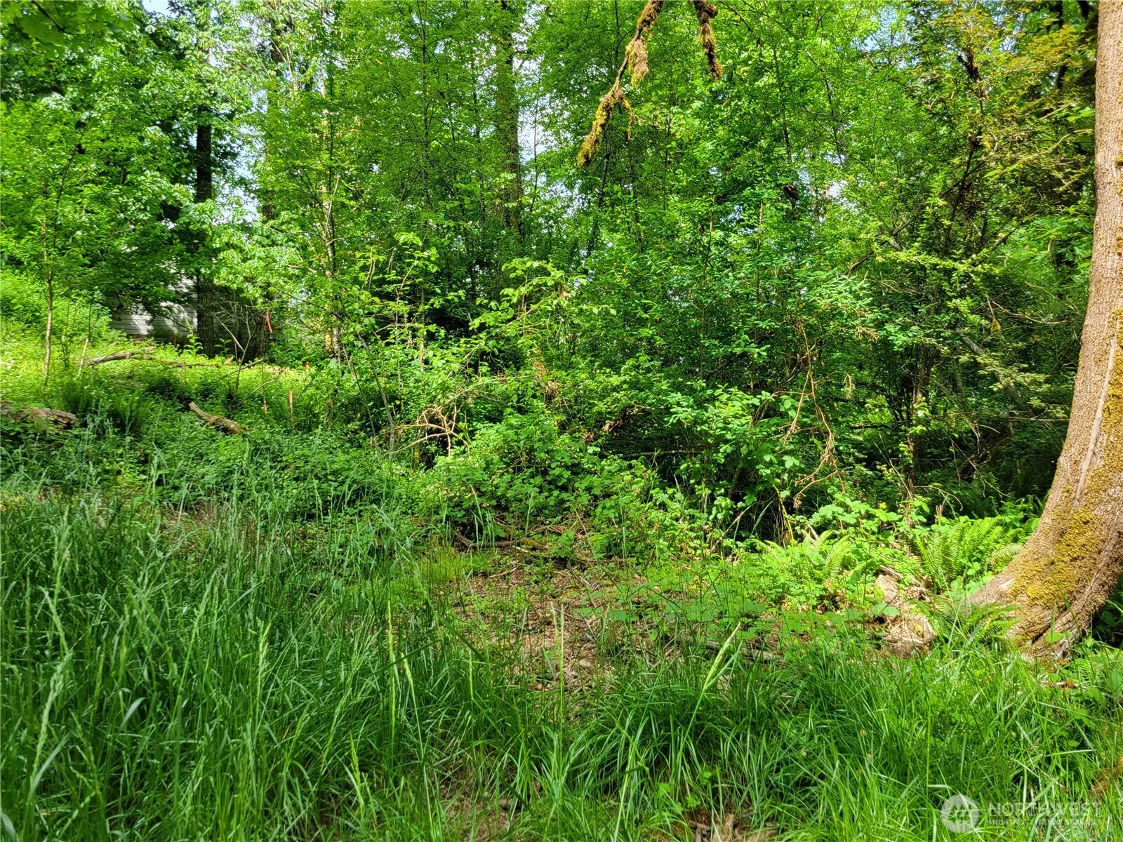 Property photo for 2518 Handicap Court Sw, Olympia photo 3