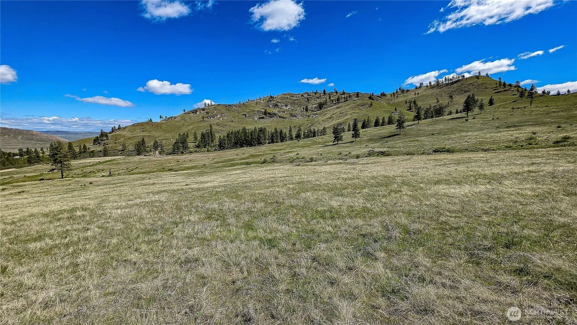 Property photo for 1 Washington Creek Road, Chelan photo 5