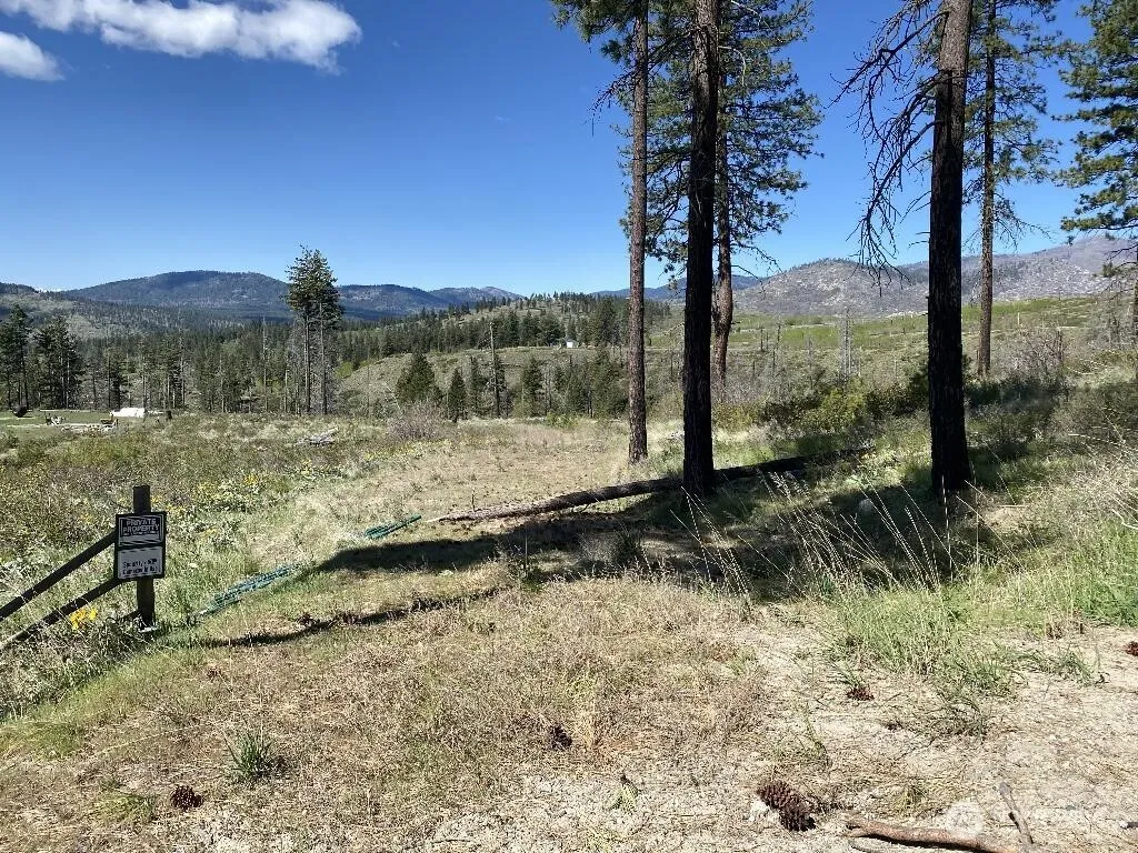 Property photo for 123 Tbd Buzzard Lake Road, Okanogan