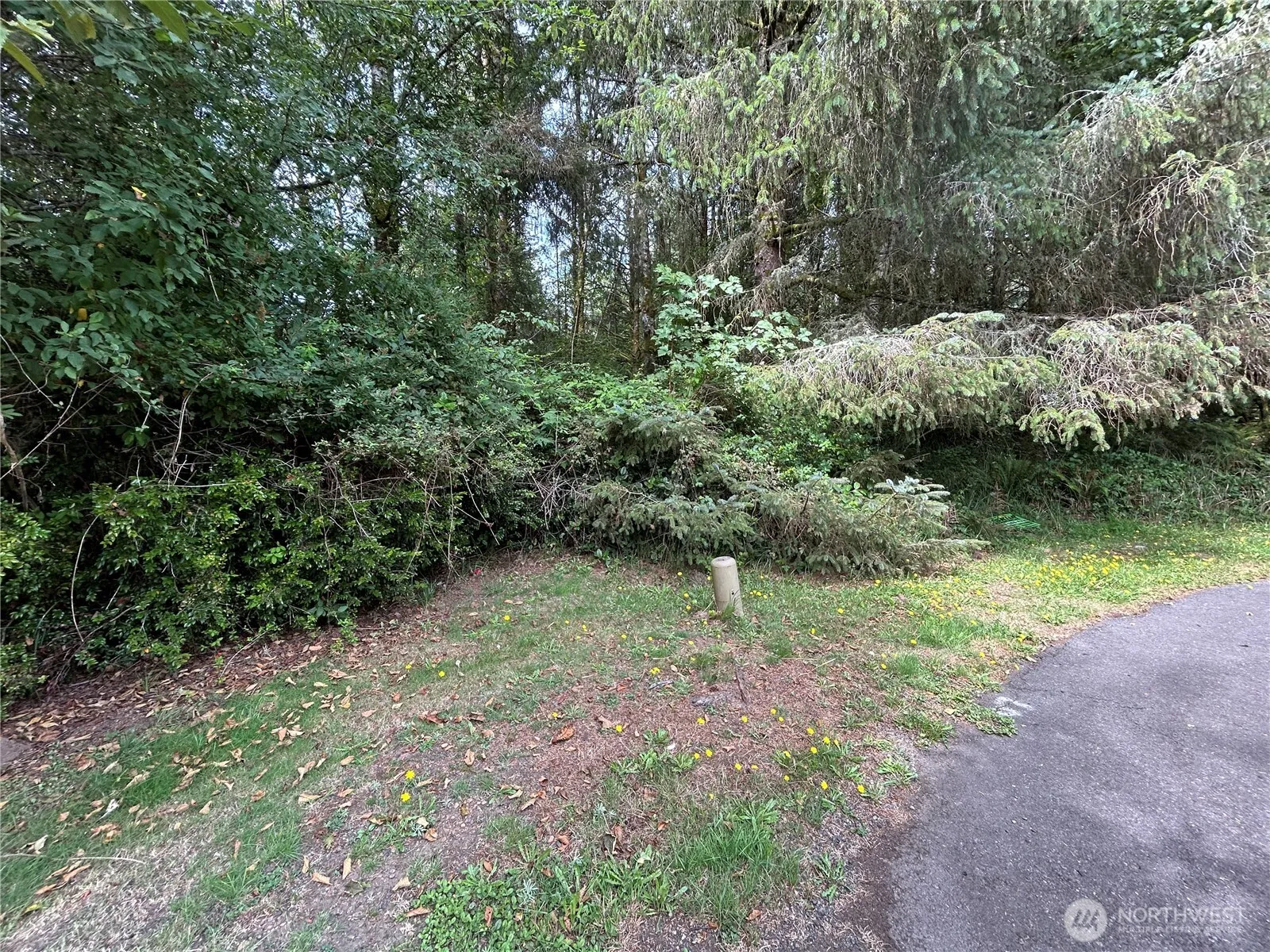 Property photo for 768 Sandpiper Court Se, Ocean Shores photo 3