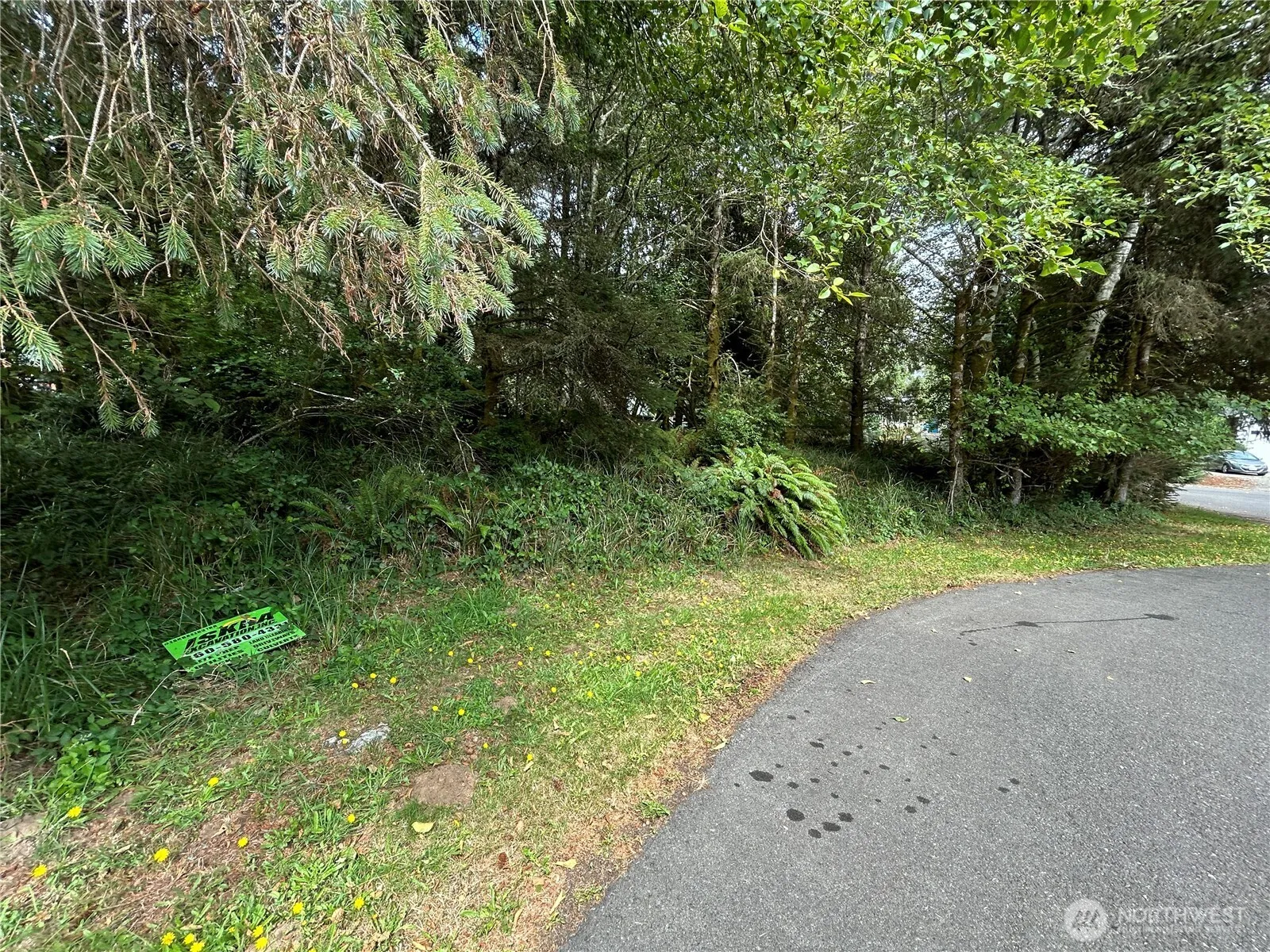 Property photo for 768 Sandpiper Court Se, Ocean Shores photo 4
