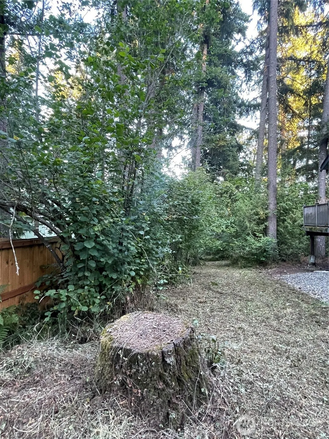 Property photo for 17616 Se Vine Ln, Yelm photo 4