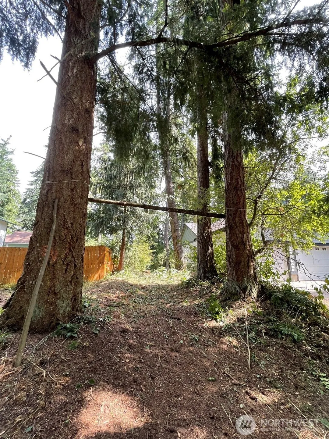 Property photo for 17616 Se Vine Ln, Yelm photo 3