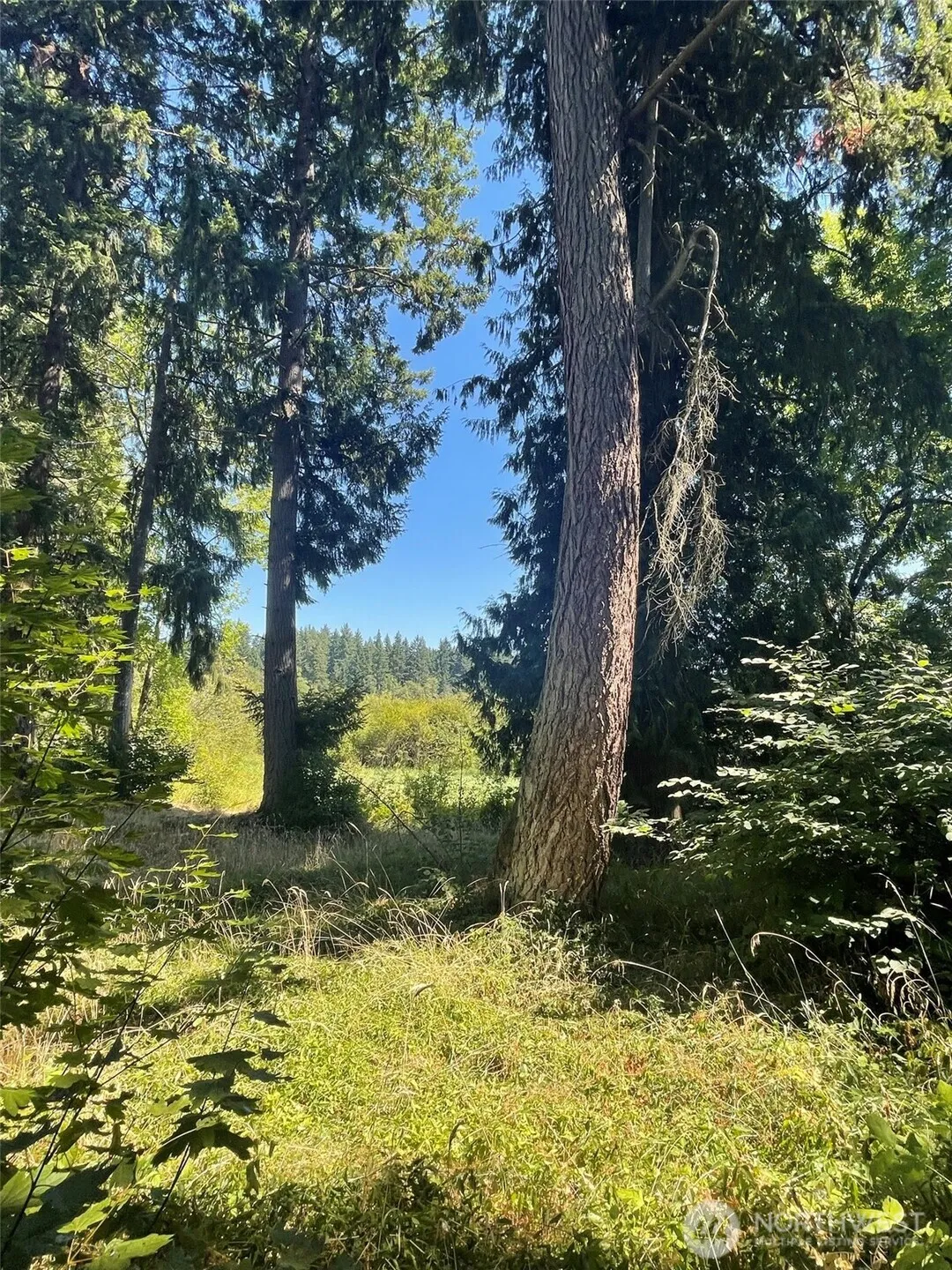 Property photo for 17616 Se Vine Ln, Yelm photo 5