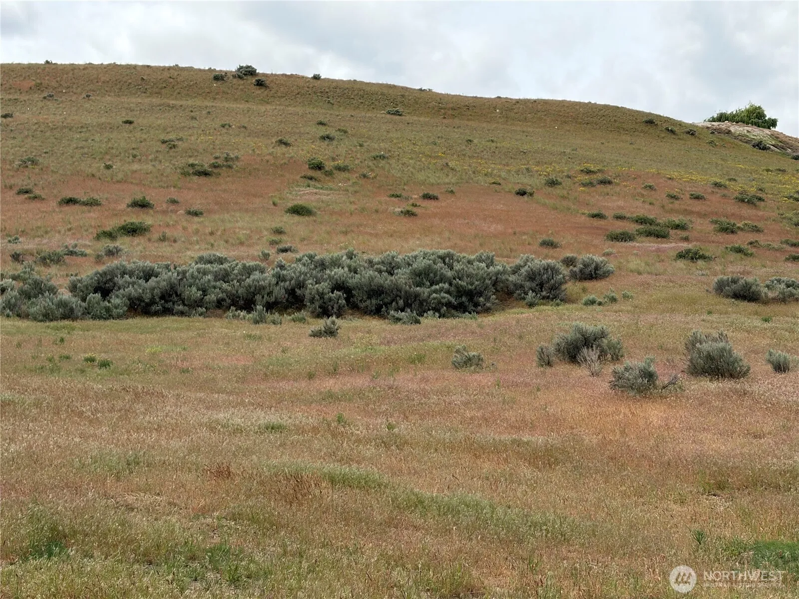 Property photo for 0 Adobe Way, Selah
