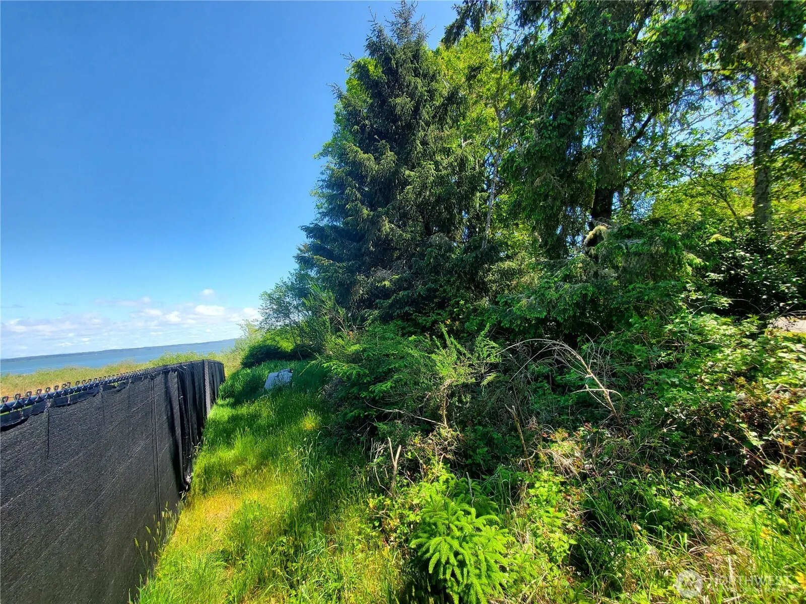 Property photo for 10 Morning Star Lane, Hoquiam