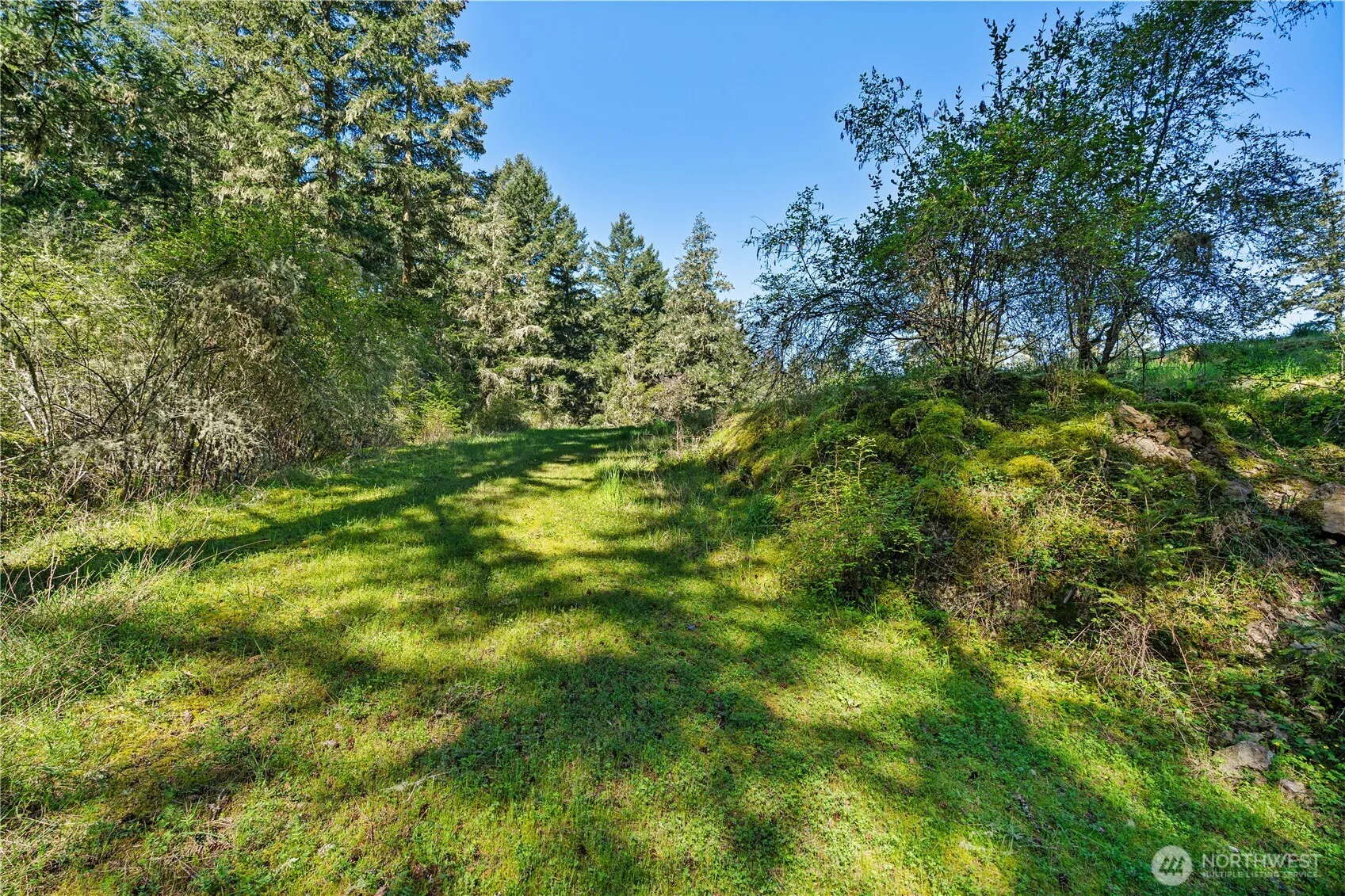 Property photo for 0 Woodpecker Ln, Friday Harbor photo 5