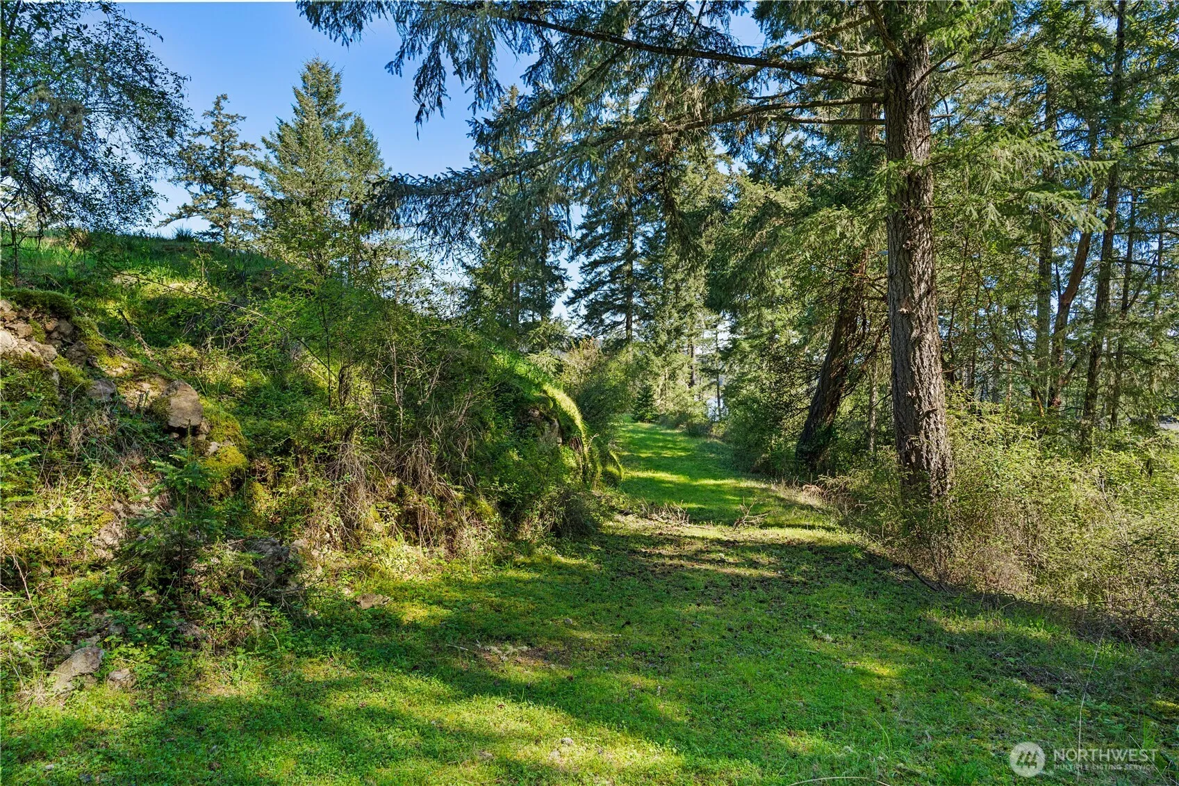 Property photo for 0 Woodpecker Ln, Friday Harbor photo 4